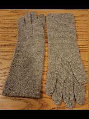 EUC Hannah Rose Beige Cashmere Casual Neutral Winter Snow Touch Screen Glove